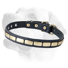 Labrador Thin Dog Leather Collar