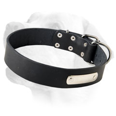 Labrador Wide Dog Leather Collar