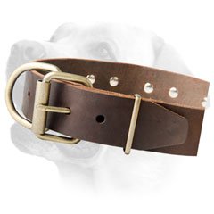 Labrador Wide Decorative Dog Leather Collar