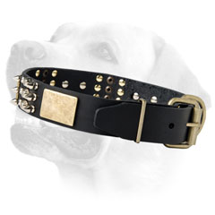 Labrador Handcrafted Leather Dog Decorative Collar