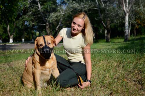 Handmade Training Leather Labrador Muzzle