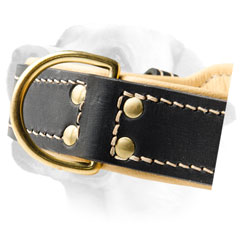 Labrador Leather Dog Collar