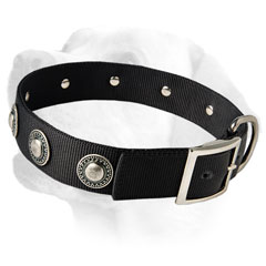 Labrador Nylon Dog Collar