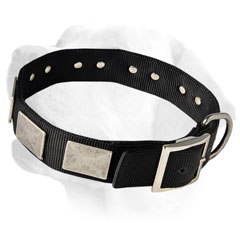 Labrador Wide Durable Dog Nylon Collar