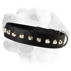 Labrador Wide Dog Nylon Collar