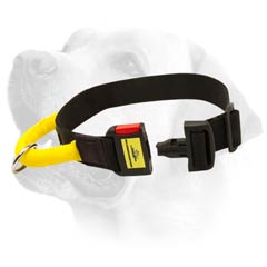 Labrador Lightweight Nylon Collar