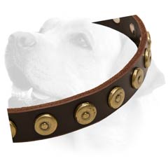 Labrador Handcrafted Leather Dog Decorative Collar