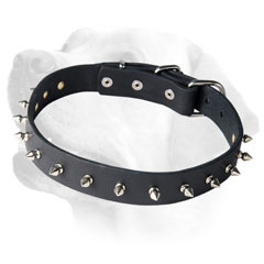 Labrador Spiked Dog Leather Collar