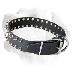 Labrador Decorative Spiked Dog Leather Collar