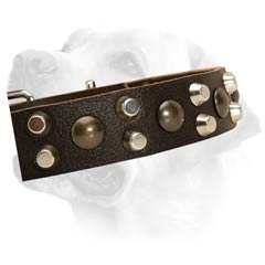 Labrador Decorative Durable Dog Leather Collar