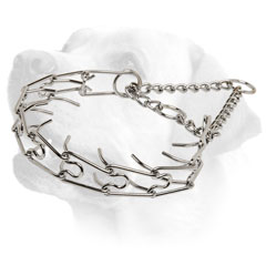 Strong Labrador Metal Pinch collar
