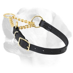 Labrador Brass Martingale Collar