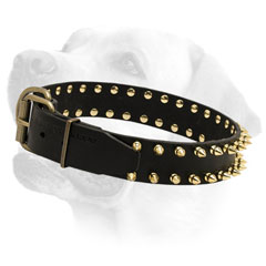 High quality leather Labrador collar with fashion design