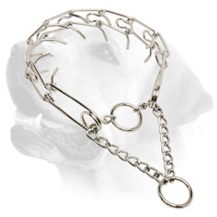 Strong Labrador Metal Pinch collar