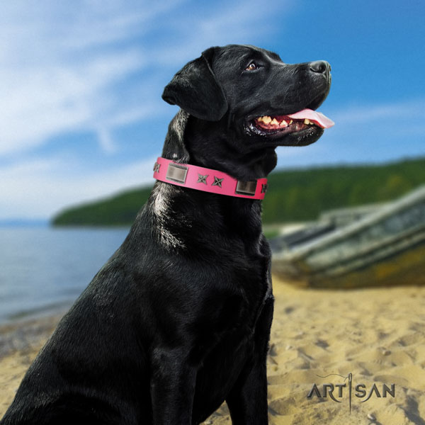 Labrador amazing embellished full grain genuine leather dog collar for handy use