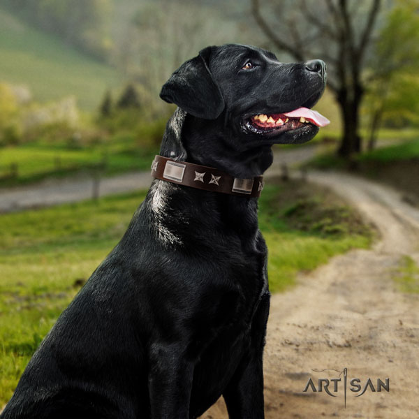 Labrador unique studded full grain leather dog collar for comfy wearing