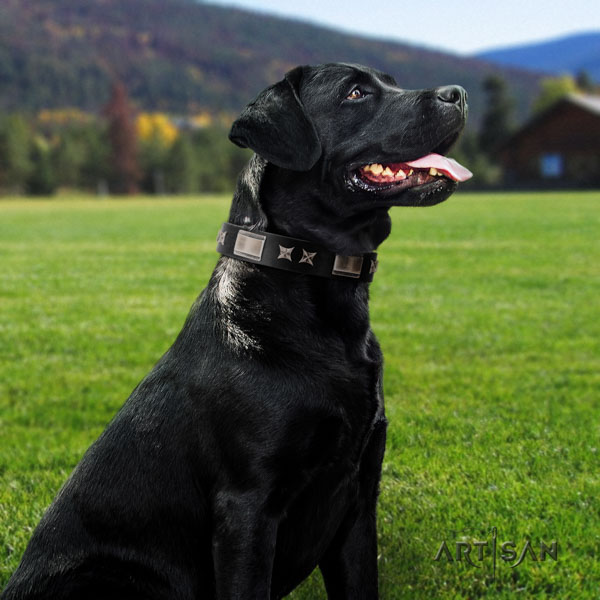Labrador trendy decorated genuine leather dog collar for daily use