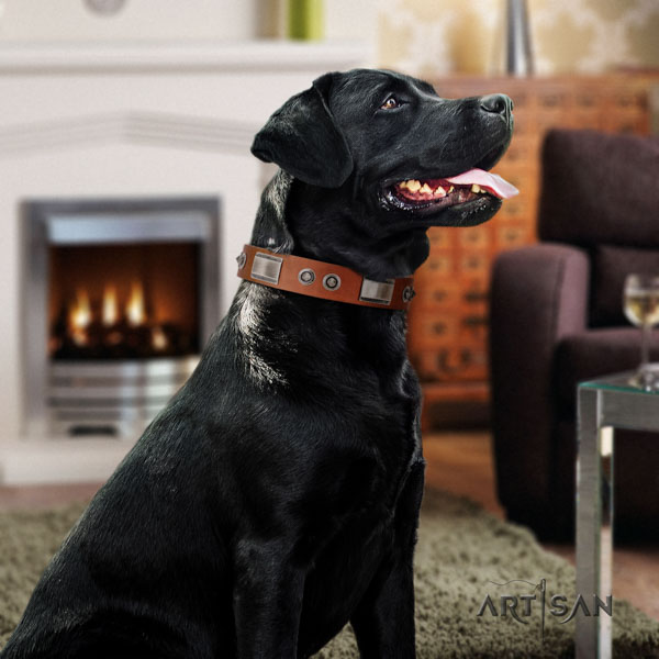 Labrador awesome adorned full grain genuine leather dog collar for walking