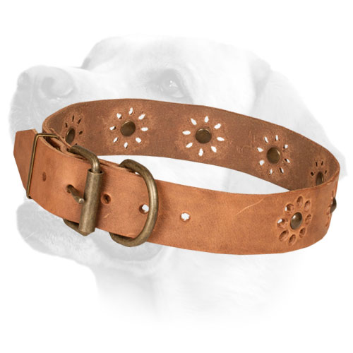 Durable Leather Dog Collar with Brass Hardware 