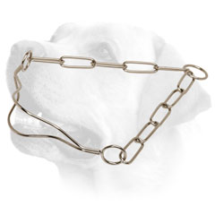 Labrador Show     Collar of finest quality