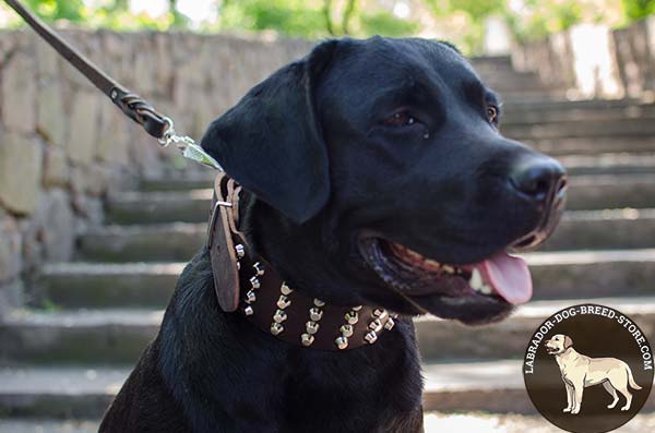 Labrador brown leather collar with durable quick release buckle for quality control