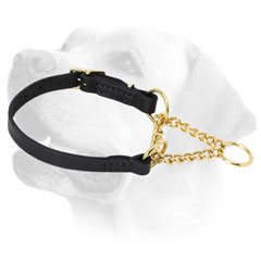 Smooth chain Labrador collar of     leather 