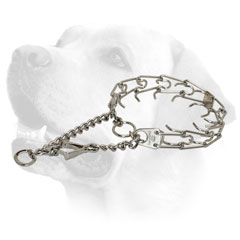 Strong Labrador collar with a Herm Sprenger stamp on the swivel