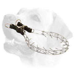 Labrador Pinch Collar with     Click Lock Buckle