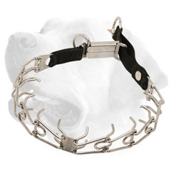 Strong Labrador collar with Symmetrically Arranged Prongs