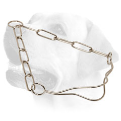 Strong Labrador collar with fur-saving links