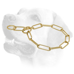 Strong     Labrador collar with fur-saving brass links