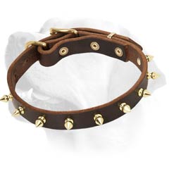 Durable Labrador Dog Leather Collar