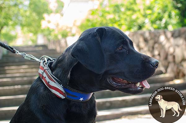 Durable American Pride Hand-Painted Painted Leather Labrador Collar