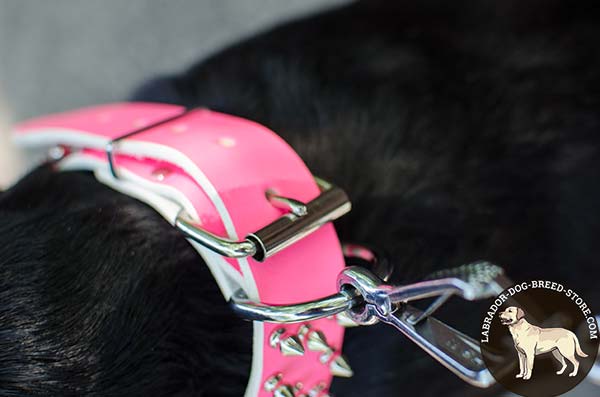 Perfect-Looking Pink Leather Dog Collar with Nickel Plated Spikes and Fittings