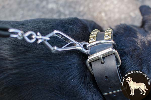 Trendy Studded Leather Labrador Collar with Nickel Plated Fittings