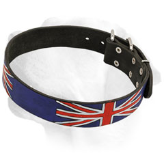 High quality leather Labrador collar with exclusive design