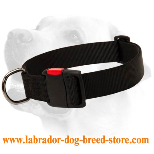 All Weather Nylon Collar For Labrador