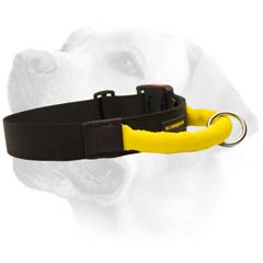 All Weather Nylon Collar For Labrador