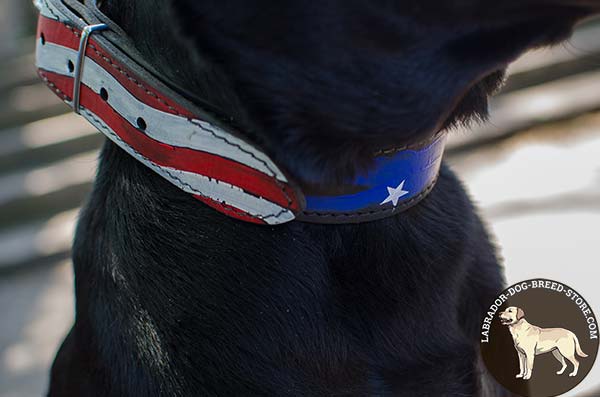 Dressy Hand-Painted Leather Labrador Collar for American Patriots