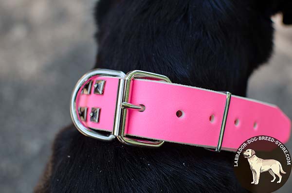 Lovely Pink Leather Labrador Collar with Durable Nickel Plated Hardware