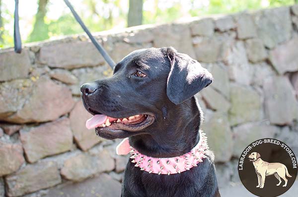 Fancy Pink Spiked Leather Labrador Collar for Female Dogs