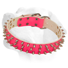 High-quality leather Labrador fashionable collar