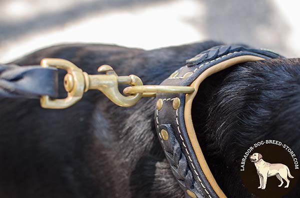 Braided Walking Leather Dog Collar for Labrador