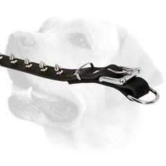 Fashionable Spikes on Leather Labrador Collar 