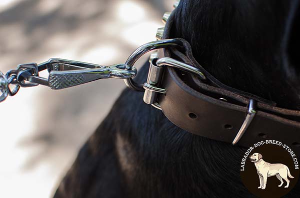 Leather Labrador Collar with Durable Nickel Plated Fittings