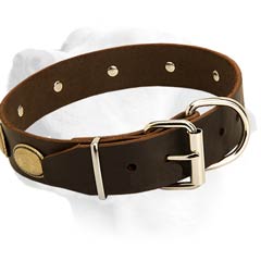 Leather Dog Collar For Labrador Equipped With Nickel Hardware