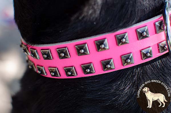 Stylish Pink Walking Leather Dog Collar with Square Studs