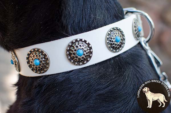 Astounding Walking White Leather Labrador Collar with Lovely Blue Stones