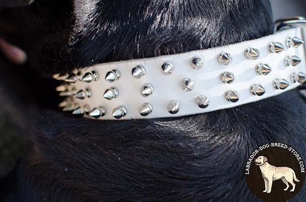 Elegant White Leather Labrador Collar Adorned with Spikes for Walking