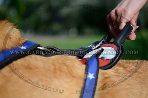 Original Design Leather Labrador Harness